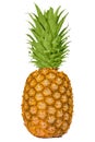 Target pineapple Royalty Free Stock Photo