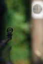 Target shooting with air gun Royalty Free Stock Photo