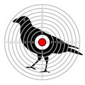 Target shooting bird in a dash