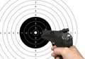 Target shooting Royalty Free Stock Photo