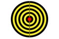 Target shooting in yellow and black color.