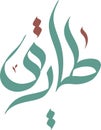 Tariq or Tareq Arabic Calligraphy Name