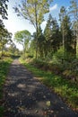 Tarka Trail at Pencleave Wood 2