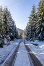 Tarmac road covered with snow, Beskid Mountains, Wegierska Gorka, Poland