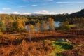 Tarn Hows in Autumn