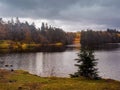 Tarn hows Royalty Free Stock Photo