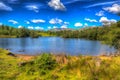 Tarn Hows Lake District National Park England uk in colourful HDR Royalty Free Stock Photo