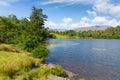 Tarn Hows Lake District National Park England uk near hawkshead