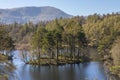 Tarn Hows in the Lake District