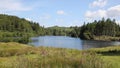 Tarn Hows The Lakes National Park Cumbria England uk