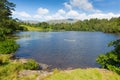 Tarn Hows near Hawkshead Lake District National Park England uk on a beautiful sunny summer day Royalty Free Stock Photo