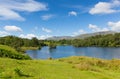 Tarn Hows near Hawkshead Lake District National Park England uk on a beautiful sunny summer day Royalty Free Stock Photo