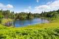 Tarn Hows near Hawkshead Lake District National Park England uk on a beautiful sunny summer day Royalty Free Stock Photo