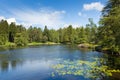 Tarn Hows near Hawkshead Lake District National Park England uk on a beautiful sunny summer day Royalty Free Stock Photo