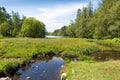 Tarn Hows near Hawkshead Lake District National Park England uk on a beautiful sunny summer day Royalty Free Stock Photo