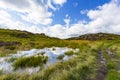 Tarn near Moss Crag