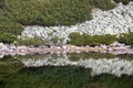 Tarn Skalnate pleso at High Tatras, Slovakia Royalty Free Stock Photo