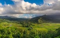 Taro fields in beautiful Hanalei Valley Kauai, Hawaii Royalty Free Stock Photo