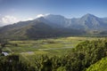 Taro fields in Hanalei Valley, Kauai, Hawaii Royalty Free Stock Photo