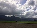 Taro Fields in Hanalei Valley on Kauai Island, Hawaii. Royalty Free Stock Photo