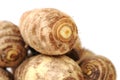 Taro Royalty Free Stock Photo
