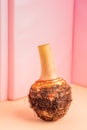 Taro is a root vegetable isolated on a colored background Royalty Free Stock Photo