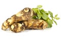 Taro root vegetable with mint leaves Royalty Free Stock Photo