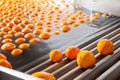 The working of orange fruits