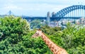 Taronga Zoo, Sydney. Giraffe and city background Royalty Free Stock Photo