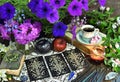 Tarot cards layout with poisonous apples and petunia flowers on witch altar table