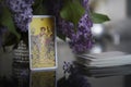 Tarot cards on the table, Nine of Coins Pentacles. Lilac bouquet.