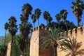 Taroudant city walls in Morocco