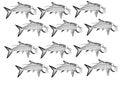 Tarpon fish artsy design pattern