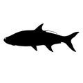 Tarpon fish, vector illustration,   black silhouette, side Royalty Free Stock Photo