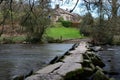 Tarr steps in Devon Royalty Free Stock Photo