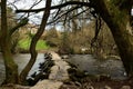 Tarr steps in Devon Royalty Free Stock Photo