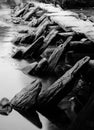 Tarr Steps Exmoor Royalty Free Stock Photo