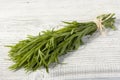 Tarragon bunch Royalty Free Stock Photo