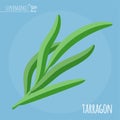 Tarragon flat design vector icon.