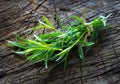 Tarragon Royalty Free Stock Photo