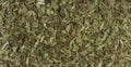 Tarragon herb background. Natural seasoning texture. Natural spices and food ingredients