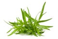 Tarragon isolated on a white background. Artemisia dracunculus