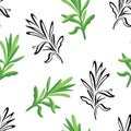 Tarragon leaf seamless pattern. Vector color illustration of green culinary aromatic estragon herb