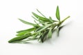 Tarragon Leaf On White Background. Generative AI