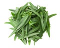 Tarragon leaves isolated on white background. Artemisia dracunculus. top view Royalty Free Stock Photo