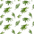 Tarragon pattern