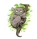 Tarsier Monkey Vector Illustration
