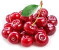 Tart cherries or sour cherries with leaf isolated on white background Royalty Free Stock Photo