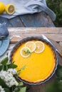 Tart with lemon curd. Lemon pie. American cuisine. Dessert. Natural garden. top view