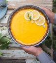 Tart with lemon curd. Lemon pie. American cuisine. Dessert. Natural garden. top view